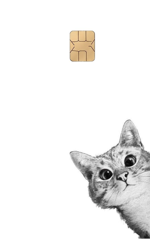 Cat card sticker on a bank card